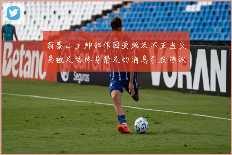 前泰山主帅郝伟因受贿及不正当交易被足协终身禁足的消息引发热议
